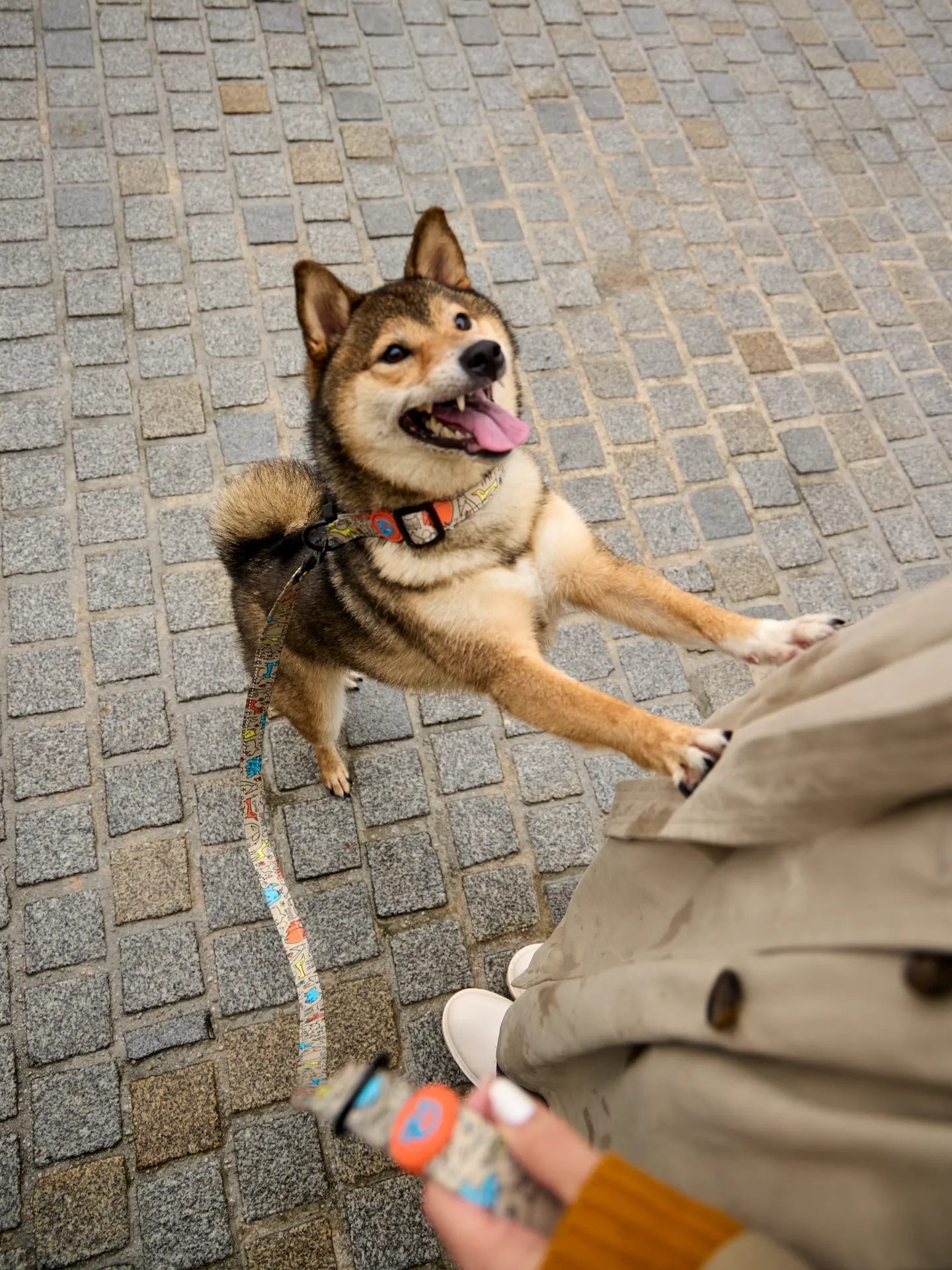 Immagine prodotto 5